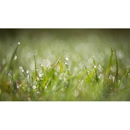 LENSBABY Optic Swap Intro Collection (Nikon Z)