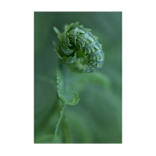 LENSBABY Optic Swap Macro Collection (Nikon Z)