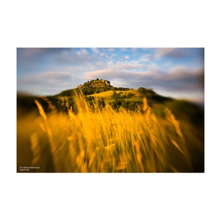 LENSBABY Spark 2.0 Sweet 50mm f/2.5 (m4/3)