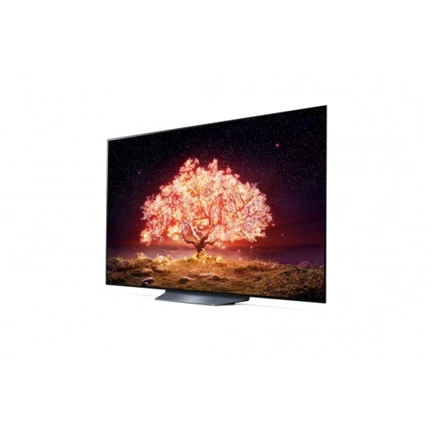 LG OLED55B13LA