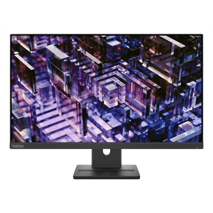Lenovo ThinkVision E24q-30 monitor 23,8" QHD IPS 100Hz