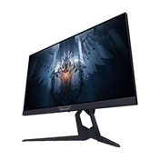 MON Gigabyte Aorus FI25F 25"