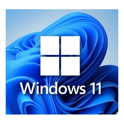 Microsoft Windows 11 Pro 64bit HUN USB BOX