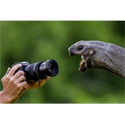 Panasonic Lumix S1RII MILC fényképezőgép váz
