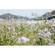 Panasonic Lumix S 24-60mm f/2.8 objektív