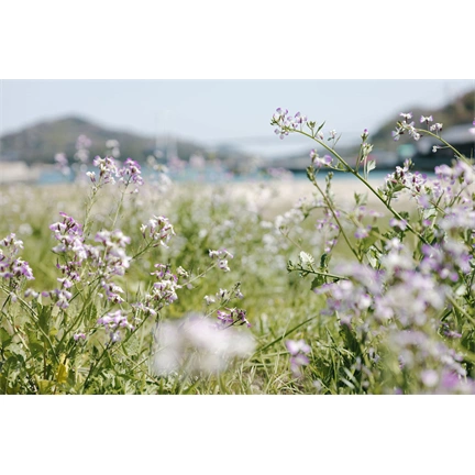 Panasonic Lumix S 24-60mm f/2.8 objektív