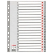 Regiszter, műanyag, A4, 1-31, ESSELTE, szürke