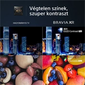 Sony Bravia XR Master televízió XR-55A95L - 55", OLED, 4K UHD, HDR, Google TV