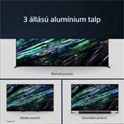Sony Bravia XR Master televízió XR-55A95L - 55", OLED, 4K UHD, HDR, Google TV