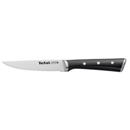 Tefal K232S414 Ice Force steak késkészletet (4db)  11cm