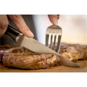 Tefal K232S414 Ice Force steak késkészletet (4db)  11cm