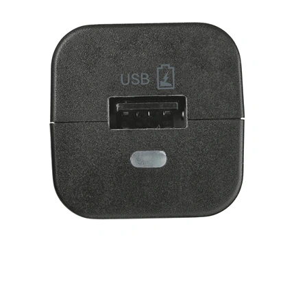 Trust 19165 12W Car Charger - black