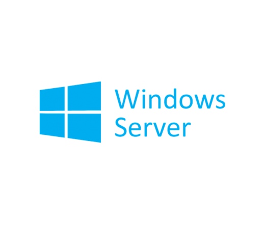 Windows Svr Std 2019 64bit HUN 1pk DSP OEI