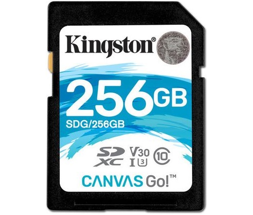 Kingston Canvas Go! SDXC 256GB