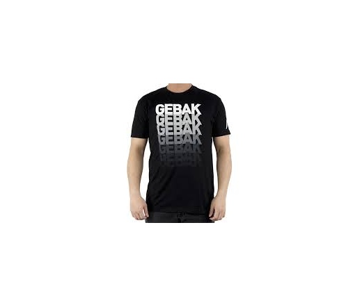 Team NP T-Shirt "Gebak", M