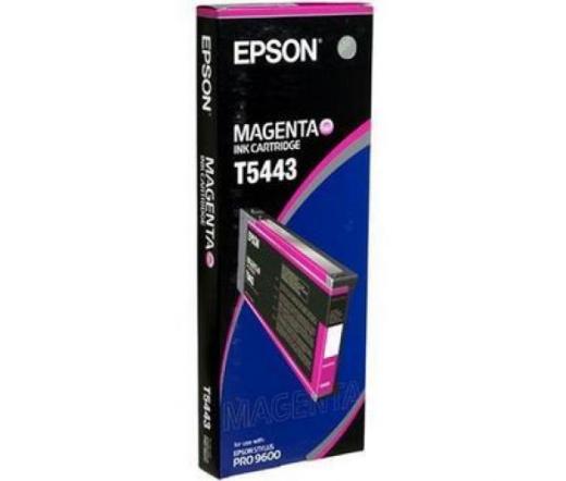 Epson T544300 Magenta