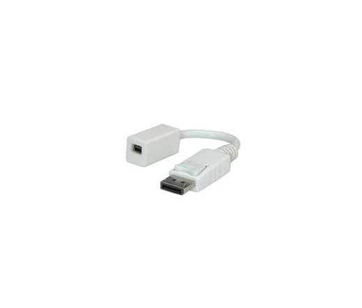 Roline DisplayPort-miniDisplayPort apa-anya ad.