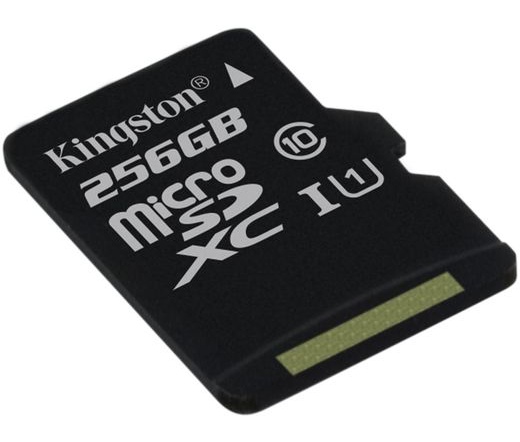Kingston microSDXC CL10 UHS-I 45/10 256GB
