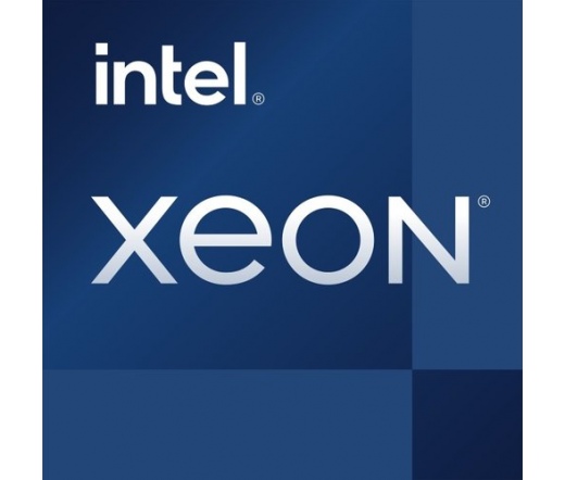 Intel Xeon W-1350P Tálcás
