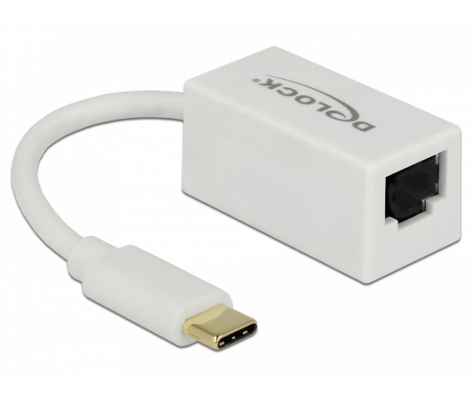 Delock USB 3.1 Gen1 Type-C > Gigabit LAN