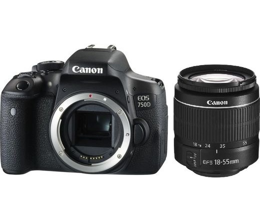 Canon EOS 750D + EF-S 18-55mm f/3.5-5.6 DC III kit
