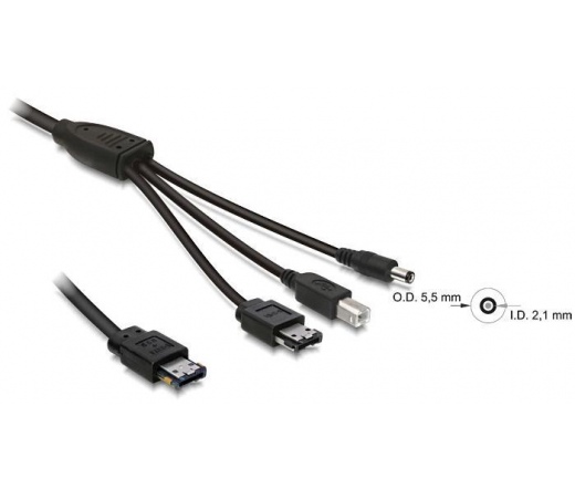 Delock eSATAp 12V -> eSATA/USB-B/DC 1m (8246