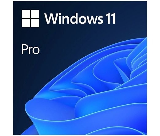 Microsoft Windows 11 Pro ENG DSP OEI DVD