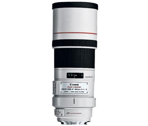 Canon EF 300mm f/4 L IS USM