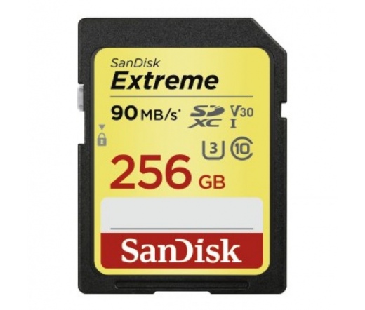 SanDisk Extreme SDXC CL10 V30 90MB/s 256GB