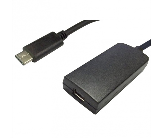 Roline USB 3.1 Type C Apa - Mini DisplayPort