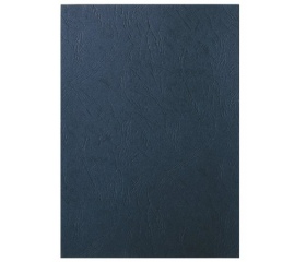 Leitz Hátlap, A4, 250 g, matt, fekete