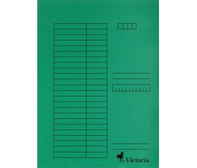 Victoria Gyorsfűző, karton, A4, zöld
