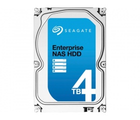SEAGATE Enterprise NAS HDD 4 TB + Rescue SATA III