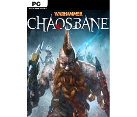 PC Warhammer Chaosbane
