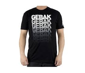 Team NP T-Shirt "Gebak", L