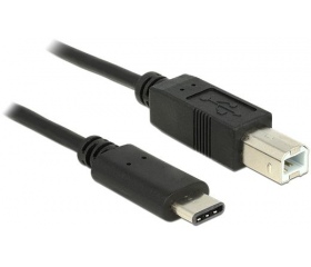 Delock USB Type-C 2.0 apa > USB 2.0-B apa