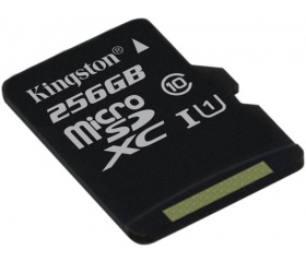 Kingston microSDXC CL10 UHS-I 45/10 256GB