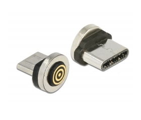 Delock Magnetic USB Type-C male adapter