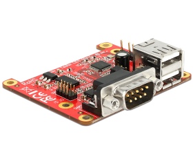 Delock Converter Raspberry Pi USB Micro-B female /