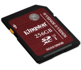 Kingston SDXC UHS-I U3 256GB