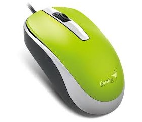 Genius Mouse DX-120 USB Zöld