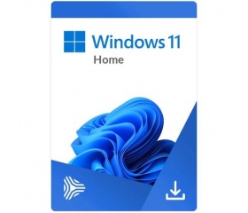 Windows 11 Home DSP OEI DVD