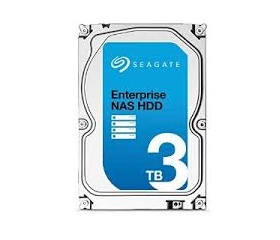 SEAGATE Enterprise NAS HDD 3 TB
