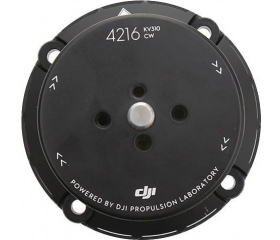 DJI E1200 Pro 4216 Motor CW