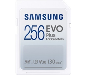 Samsung Evo Plus 2021 SDXC 256GB