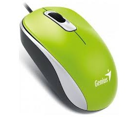 Genius Mouse DX-110 USB Zöld-Fekete