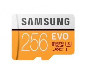 Samsung Micro SDXC 256GB EVO UHS-I U3 CL10