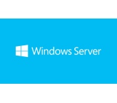 MS Windows Server CAL 2019 English 1pk DSP OEI 