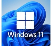 Microsoft Windows 11 Pro 64bit HUN USB BOX