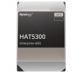 Synology HAT5300 4TB